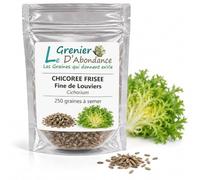 250 graines à semer - Le Grenier d'Abondance - CHICOREE FRISEE Fine de Louviers - Cichorium