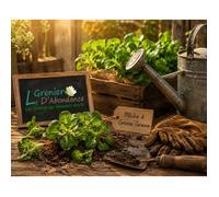 250 graines à semer - Le Grenier d'Abondance - MACHE A grosse graine - Valerianella locusta