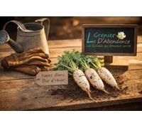 250 graines à semer - Le Grenier d'Abondance - NAVET Blanc dur d'hiver - Rapum