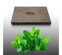 250 Graines Aromatiques À Semer - Le Grenier D'abondance - Menthe Verte - Mentha Viridis