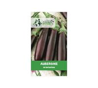 250 graines aubergine Violette de Barbentane