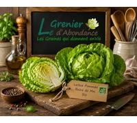 250 graines Bio à semer - Le Grenier d'Abondance - LAITUE POMMEE Reine de Mai - Certifié AB - Lactuca