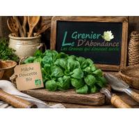 250 graines Bio à semer - Le Grenier d'Abondance - MACHE Doucette - Certifié AB - Valerianella locusta