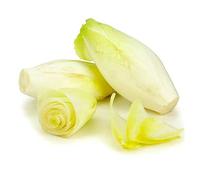 250 Graines d' Endive demi-hâtive - légumes jardin potager - semences paysannes reproductibles - SemiSauvage