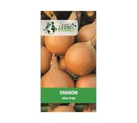 250 graines d oignon ailsa craig - saveur douce - gros jaune