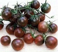 250 graines de Black Cherry - Tomates noires