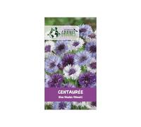 250 graines de centaurée des champs 'blue shades' (bleuet) - fleur sauvage aux nuances de bleu profond - annuelle mellifère pour bouquets