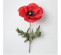 250 Graines de Coquelicot Sauvage - SemiSauvage Permaculture