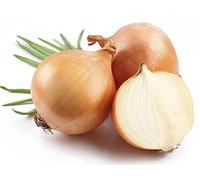 250 Graines d'Oignon Jaune Paille - légumes potager aromatique - semences paysannes reproductibles - SemiSauvage
