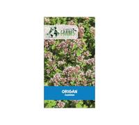 250 Graines d'Origan commun Origanum vulgare pour un jardin aromatique - Facile à cultiver