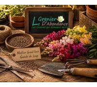 250 graines Fleurs à semer - Le Grenier d'Abondance - MUFLIER Grand varié gueule de loup - Antirrhinum majus