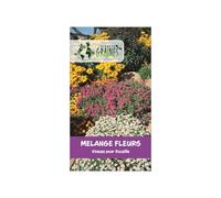 250 graines ornementale special mixture garden perennials - mélange de fleurs vivaces pour rocaille