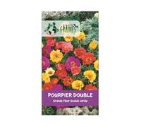 250 graines POURPIER Grandes fleurs Double - portulaca Grandiflora - coloris en mélange
