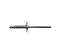 250 Rivets Aveugles Tête Extra Large GORIVET 4.8 x 12 mm - Inox A2 - D-Work