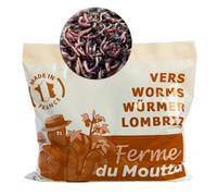 250gr de vers de compost lombric