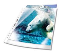 DURABLE Pochettes 2677 A4 – Polypropylène 0,08 mm transparentes – 50 pièces