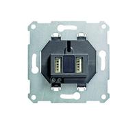 2fach usb-steckdoseneinsatz reinws
