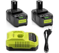 2X 18V 5,5Ah Batterie Remplacement pour Ryobi + 4A P117 Batterie Chargeur Compatible with Ryobi One+ Batterie RB18L50 RB18L25 RB18L13 RB18L40 RB18L20 P108 P102 P103 P104 P105 P106 P107