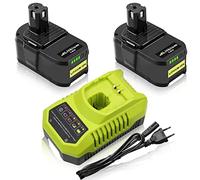 2X 8,0Ah Remplacement pour Ryobi Batterie 18V P106 P107 P105 P108 P100 P102 P103 + Chargeur 9,6 V-18 V 3 A pour Ryobi BCL14181H Batterie Lithium-ION et NI-MH pour avec LED Goodexo