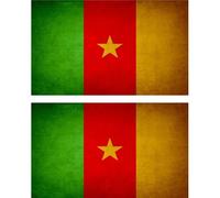 2x Autocollant Sticker Drapeau Vintage Vieilli Cmr Cameroun Cameroune
