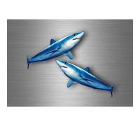 2x Autocollant Sticker Voiture Moto Peche Requin Taupe Poisson Pecheur