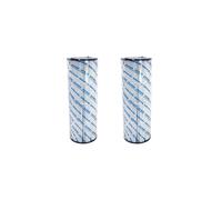 2x Filtre d'origine StarClear Hayward C500EURO / CX500RE pour piscine