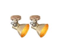 vidaXL 2x Lampe Murale Industrielle Plafonnier Lampe Suspendue Eclairage Luminaire Salon Salle de Séjour Salle à Manger 320509