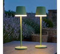 2x Lampe Solaire LED Table Extérieure Globo Argent Batterie, H 41 cm