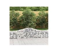 Vidaxl Paniers À Gabions Arqués 2 Pcs 200x50x40/60 Cm Fer Galvanisé