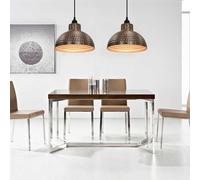 2x Plafonnier Semi-sphérique Couleur Cuivre Lumière Lampe Suspension vidaXL