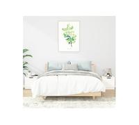 VIDAXL Lot de tables de chevet blanches