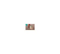 3 eponges abrasive grain moyen et gros