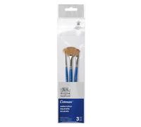 Winsor & Newton Cotman Pinceau Aquarelle Manche Court X3 Pack 3