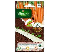 Vilmorin – Ruban de graines – Carottes HF1 – 6 m – 3 saisons