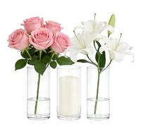 3 Vases Cylindriques en Verre Borosilicate Transparent, 8,5x15cm | Vase Decoratif, design minimaliste, pour compositions florales centre de table élégant mariage anniversaire cadeau