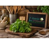 30 graines Bio à semer - Le Grenier d'Abondance - CORIANDRE Cultivée - Certifié AB - Coriandrum sativum