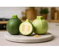 30 Graines de Courge Courgette - RONDE DE NICE - Cucurbita pepo - Idéal pour farcir - Récolte Abondante - Légume Jardin - 381
