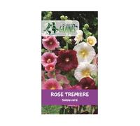30 Graines de Roses Trémières Simples Variées - Mélange de Couleurs Champêtre - Fleurs Mellifères et Rustiques pour Jardin