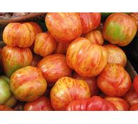 30 Graines de Tomate Tigerella - légumes semis potager - semences paysannes reproductibles - SemiSauvage