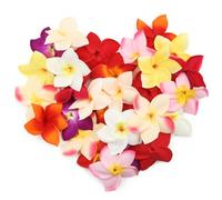 30 pièces de fleurs de Plumeria artificielles de couleurs mélangées de 90 mm, fausses têtes de fleurs en soie, frangipanier hawaïen perle florale pour bricolage mariage décoration de fête Aloha d'é
