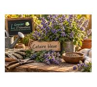 300 graines à semer - Le Grenier d'Abondance - Cataire bleue - Ageratum houstonianum
