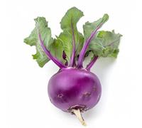 300 Graines de Chou Rave Delicatess Violet