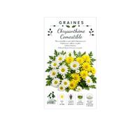 300 Graines de Chrysanthème Comestible (Shungiku) - Feuilles et Fleurs Tendres, Saveur Poivrée - Idéal en Salade et Wok - Facile à Cultiver