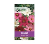 300 graines de COSMOS SENSATION - Cosmos bipinnatus sensation - massif jardiniere ou pot