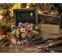 300 graines de Fleurs à semer - Le Grenier d'Abondance - PRAIRIE de Fleurs - En mélange