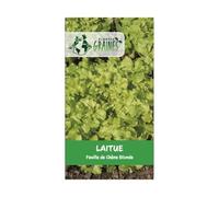 300 Graines de Laitue Feuille de Chêne Blonde : Facile à Cultiver