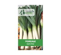300 graines de Poireau Géant hiver - robuste - Variété Rustique et Très Productive pour Récoltes d'Hiver