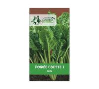300 graines de poirée verte a couper - Bette - facile a cultiver