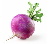 300 Graines de Radis Rond Violet