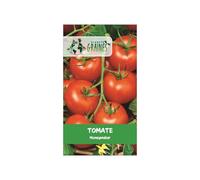 300 graines de tomate money maker, variété ancienne très productive, fruit rouge lisse et uniforme